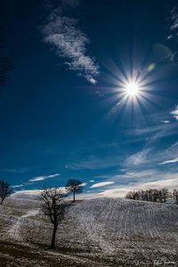 Scenic view of field against sky during winter