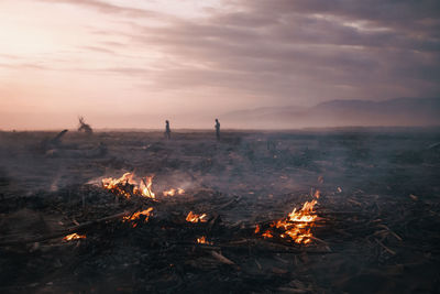 Scenic view of burning wood over land