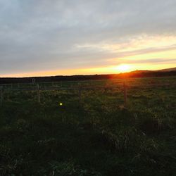 Scenic view of field against sky during sunset