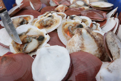 High angle view of fish in plate