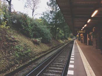 Surface level of railway tracks along plants