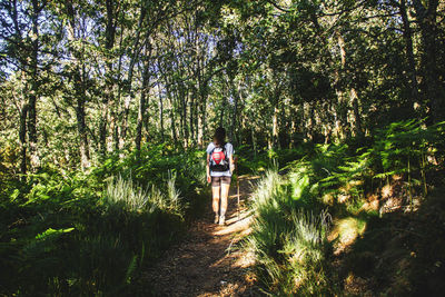 Rear view of woman walking on footpath in forest