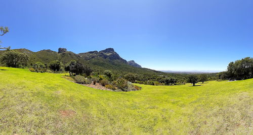 Scenic view of field against clear blue sky