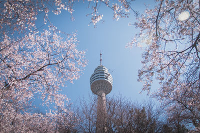 Low angle view of cherry blossoms against sky