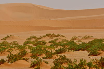 Scenic view of desert against sky