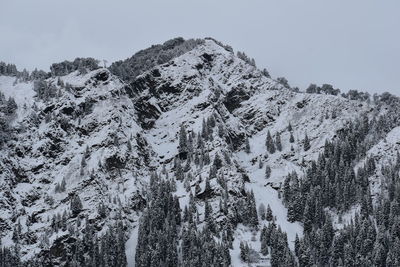 Low angle view of snow covered trees against sky