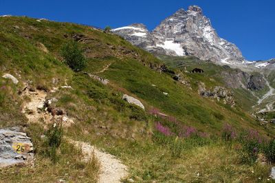 Scenic view of landscape and mountains against clear sky