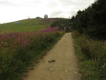 Footpath in field