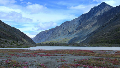 Alpine valley with high mountains, river and flowers against the sky and moutains