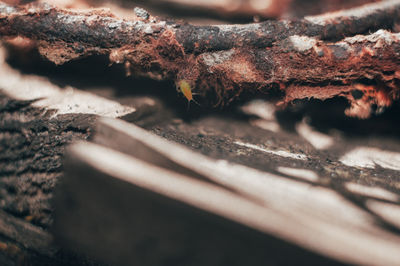 Close-up of rusty metal