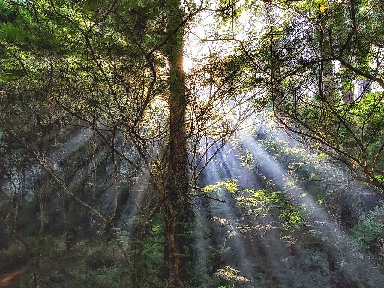 Kareumbi, Cicalengka