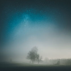 Trees on field against sky at night