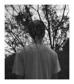 Rear view of man standing by bare trees in forest