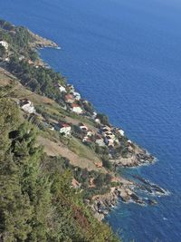 High angle view of sea and trees