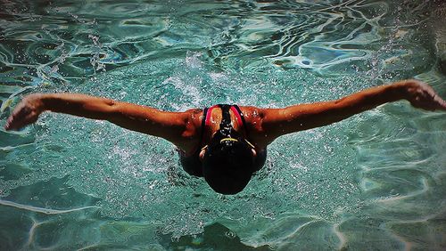 High angle view of woman swimming in pool