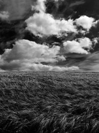 Scenic view of agricultural landscape against cloudy sky