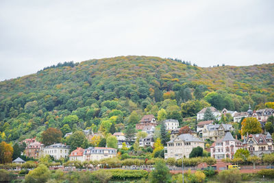 Trees and buildings against sky