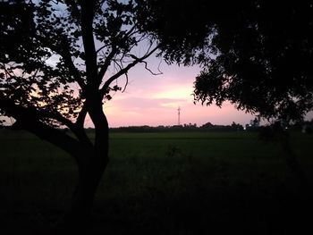 Silhouette trees on field against sky during sunset