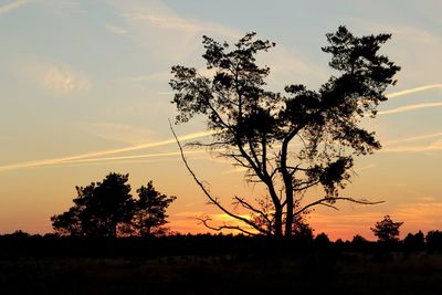 Silhouette trees against sky during sunset