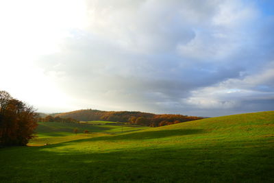 Scenic view of field against sky