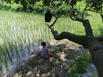 High angle view of boy looking away sitting by agricultural field