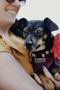 Portrait of person holding dog