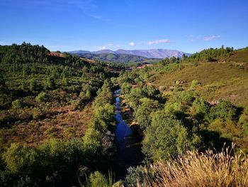 Scenic view of landscape against clear sky