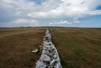 A limestone wall in a moor landscape