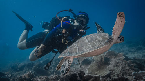 Man scuba diving in sea