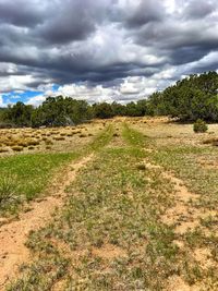 Scenic view of landscape against sky