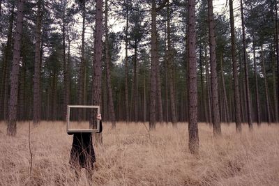 Person with frame in forest