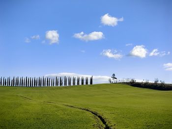 Scenic view of agricultural field against sky