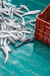 High angle view of fish on wet boat deck