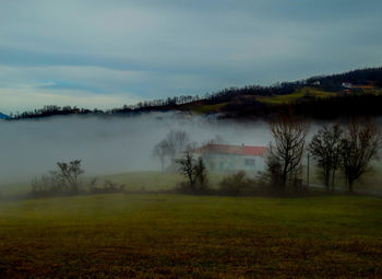 Scenic view of field against sky