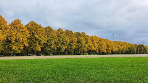 Scenic view of field against sky during autumn