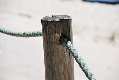 Close-up of rope tied to wooden post