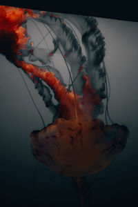 underwater