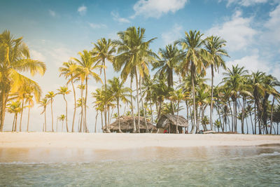 Palm trees on beach against sky