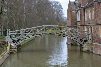 Bridge over river against trees