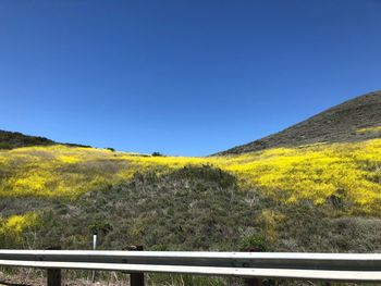 Scenic view of field against clear blue sky