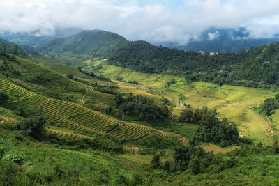 landscape
