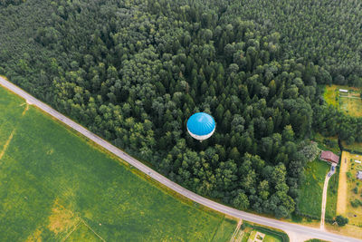 High angle view of plants and trees in forest