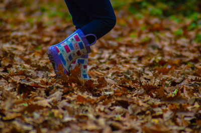 Low section of person standing on field in forest