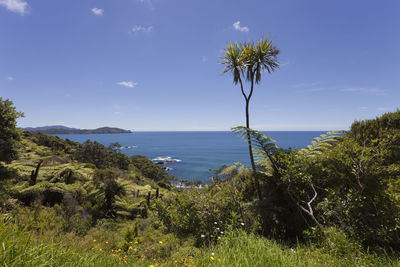 Scenic view of sea against blue sky