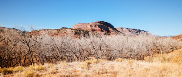 Scenic view of land against clear blue sky