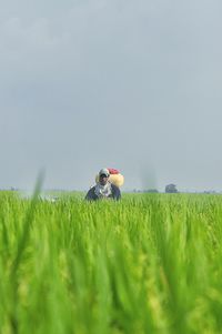 Farmer on agricultural field against sky