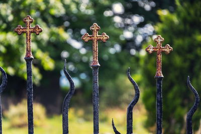 Close-up of metal fence against plants