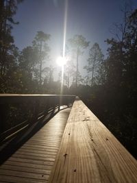 Walkway amidst trees against sky