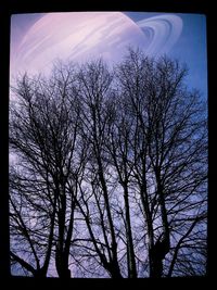 Low angle view of bare trees against sky