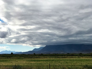 Scenic view of field against sky